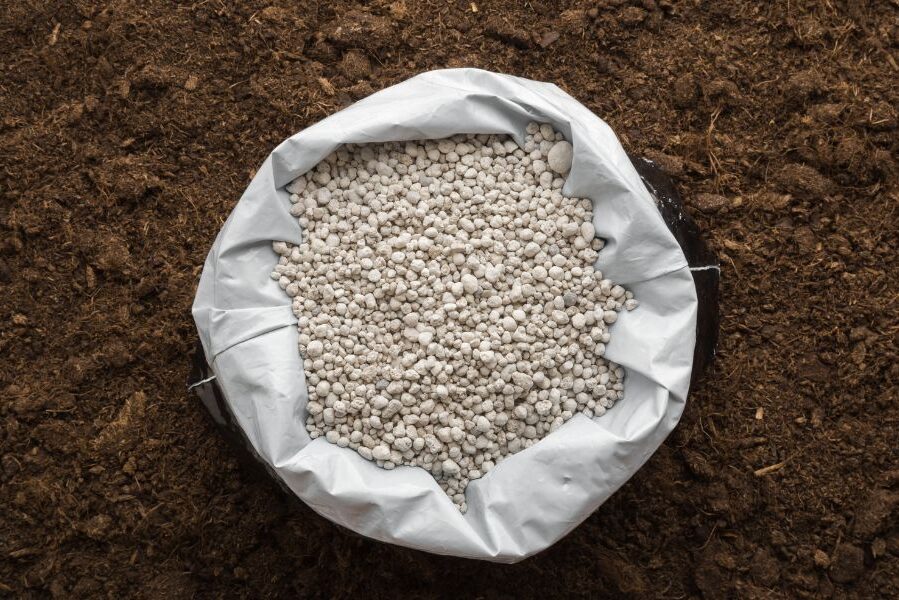 The Role of Process Catalysts in Making Fertilizer