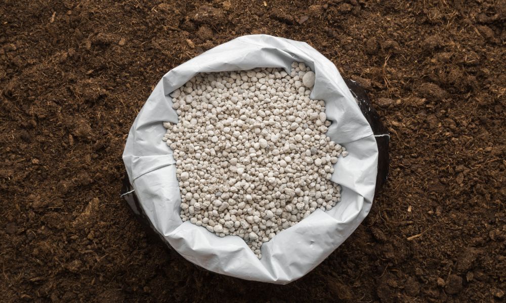 The Role of Process Catalysts in Making Fertilizer