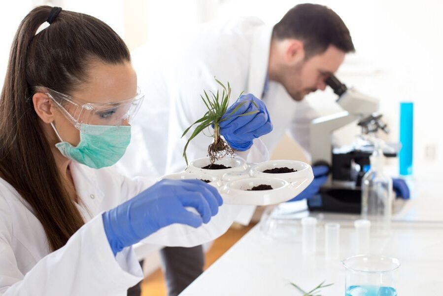 3 Innovations in Chemistry Working for a Greener Future