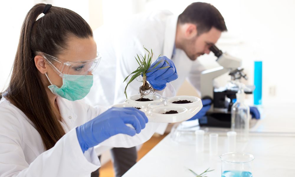 3 Innovations in Chemistry Working for a Greener Future