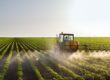 A tractor sprays a fine mist across several rows of green crops. The field stretches far into the distance.