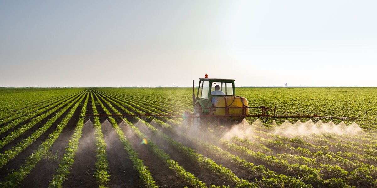A tractor sprays a fine mist across several rows of green crops. The field stretches far into the distance.