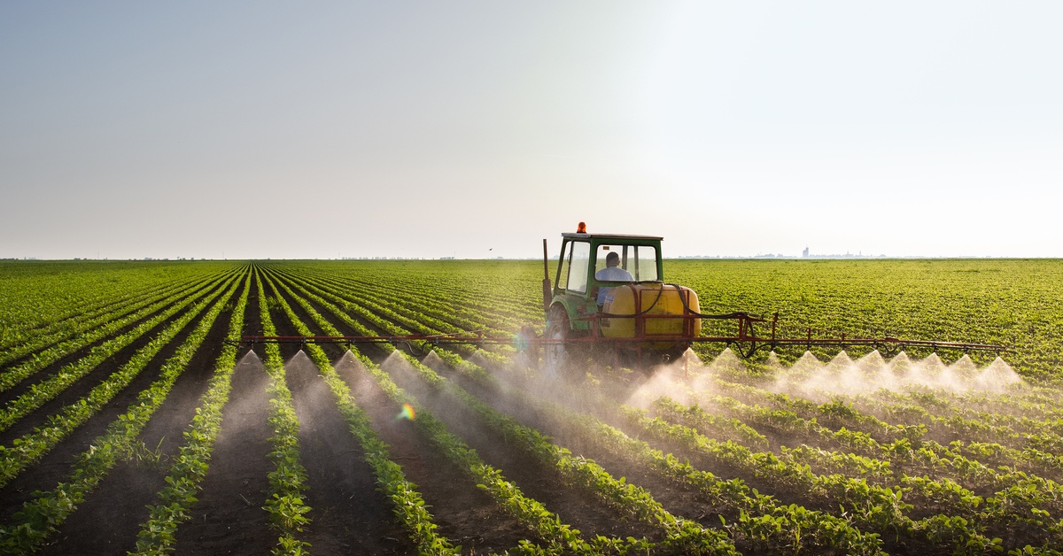 A tractor sprays a fine mist across several rows of green crops. The field stretches far into the distance.